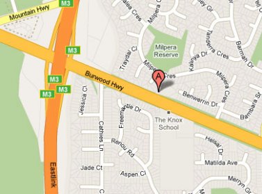 Store Google Maps