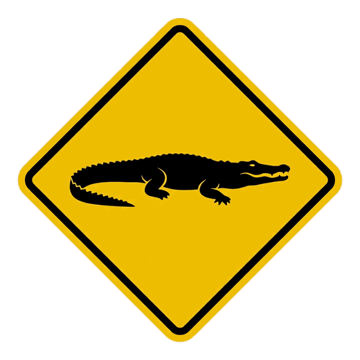 Crocodile crossing